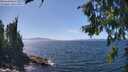 ./images/koeye/fitz-hugh/20260807/fitz-hugh20260807_142001M.jpg