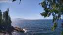 ./images/koeye/fitz-hugh/20260807/fitz-hugh20260807_142501M.jpg