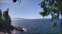 ./images/koeye/fitz-hugh/20260807/fitz-hugh20260807_143001M.jpg