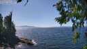 ./images/koeye/fitz-hugh/20260807/fitz-hugh20260807_143501M.jpg
