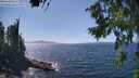 ./images/koeye/fitz-hugh/20260807/fitz-hugh20260807_144501M.jpg