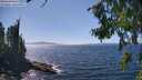 ./images/koeye/fitz-hugh/20260807/fitz-hugh20260807_145001M.jpg