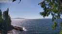 ./images/koeye/fitz-hugh/20260807/fitz-hugh20260807_151001M.jpg