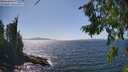 ./images/koeye/fitz-hugh/20260807/fitz-hugh20260807_151502M.jpg