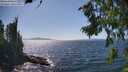 ./images/koeye/fitz-hugh/20260807/fitz-hugh20260807_152001M.jpg