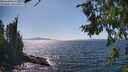 ./images/koeye/fitz-hugh/20260807/fitz-hugh20260807_152501M.jpg