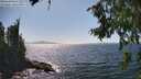 ./images/koeye/fitz-hugh/20260807/fitz-hugh20260807_153501M.jpg