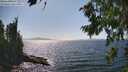 ./images/koeye/fitz-hugh/20260807/fitz-hugh20260807_154002M.jpg