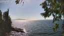 ./images/koeye/fitz-hugh/20260807/fitz-hugh20260807_154501M.jpg