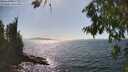 ./images/koeye/fitz-hugh/20260807/fitz-hugh20260807_155502M.jpg
