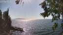 ./images/koeye/fitz-hugh/20260807/fitz-hugh20260807_161001M.jpg