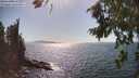 ./images/koeye/fitz-hugh/20260807/fitz-hugh20260807_161501M.jpg