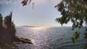 ./images/koeye/fitz-hugh/20260807/fitz-hugh20260807_162001M.jpg