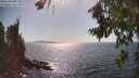 ./images/koeye/fitz-hugh/20260807/fitz-hugh20260807_162501M.jpg