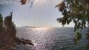 ./images/koeye/fitz-hugh/20260807/fitz-hugh20260807_163002M.jpg