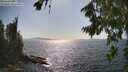 ./images/koeye/fitz-hugh/20260807/fitz-hugh20260807_163501M.jpg