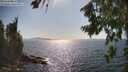 ./images/koeye/fitz-hugh/20260807/fitz-hugh20260807_164001M.jpg