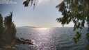 ./images/koeye/fitz-hugh/20260807/fitz-hugh20260807_164501M.jpg