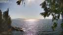 ./images/koeye/fitz-hugh/20260807/fitz-hugh20260807_165002M.jpg