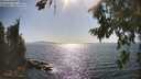 ./images/koeye/fitz-hugh/20260807/fitz-hugh20260807_165501M.jpg
