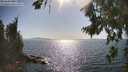./images/koeye/fitz-hugh/20260807/fitz-hugh20260807_170001M.jpg
