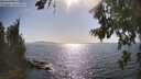 ./images/koeye/fitz-hugh/20260807/fitz-hugh20260807_170501M.jpg