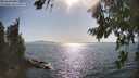 ./images/koeye/fitz-hugh/20260807/fitz-hugh20260807_171001M.jpg