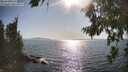 ./images/koeye/fitz-hugh/20260807/fitz-hugh20260807_172501M.jpg