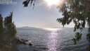 ./images/koeye/fitz-hugh/20260807/fitz-hugh20260807_173501M.jpg