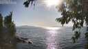 ./images/koeye/fitz-hugh/20260807/fitz-hugh20260807_174001M.jpg