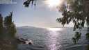 ./images/koeye/fitz-hugh/20260807/fitz-hugh20260807_174501M.jpg