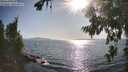 ./images/koeye/fitz-hugh/20260807/fitz-hugh20260807_175001M.jpg
