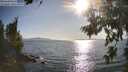 ./images/koeye/fitz-hugh/20260807/fitz-hugh20260807_180501M.jpg