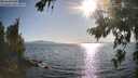 ./images/koeye/fitz-hugh/20260807/fitz-hugh20260807_181001M.jpg