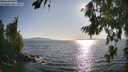./images/koeye/fitz-hugh/20260807/fitz-hugh20260807_181502M.jpg