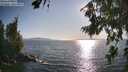 ./images/koeye/fitz-hugh/20260807/fitz-hugh20260807_182001M.jpg
