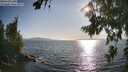 ./images/koeye/fitz-hugh/20260807/fitz-hugh20260807_182501M.jpg