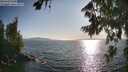 ./images/koeye/fitz-hugh/20260807/fitz-hugh20260807_183501M.jpg