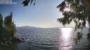 ./images/koeye/fitz-hugh/20260807/fitz-hugh20260807_185001M.jpg
