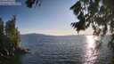 ./images/koeye/fitz-hugh/20260807/fitz-hugh20260807_192502M.jpg