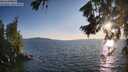 ./images/koeye/fitz-hugh/20260807/fitz-hugh20260807_195002M.jpg