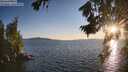 ./images/koeye/fitz-hugh/20260807/fitz-hugh20260807_201002M.jpg