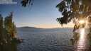 ./images/koeye/fitz-hugh/20260807/fitz-hugh20260807_202001M.jpg