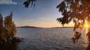 ./images/koeye/fitz-hugh/20260807/fitz-hugh20260807_205501M.jpg