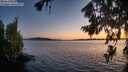 ./images/koeye/fitz-hugh/20260807/fitz-hugh20260807_213002M.jpg