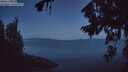 ./images/koeye/fitz-hugh/20260808/fitz-hugh20260808_052002M.jpg