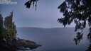 ./images/koeye/fitz-hugh/20260808/fitz-hugh20260808_054501M.jpg