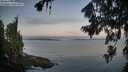 ./images/koeye/fitz-hugh/20260808/fitz-hugh20260808_061502M.jpg