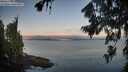 ./images/koeye/fitz-hugh/20260808/fitz-hugh20260808_063001M.jpg
