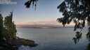 ./images/koeye/fitz-hugh/20260808/fitz-hugh20260808_063501M.jpg